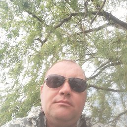 , 40, 