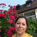 ���� ��������, �����-���������, 41 ��� - ��������� 1 ������� 2026