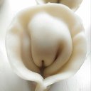 ���� �����, �������, 55 ��� - ��������� 21 ������ 2025 � ������ ������ ��������