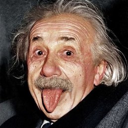 ����, �����������, 73 ����