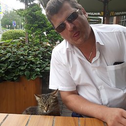 �������, ������, 47 ���