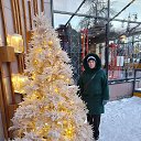 ���� ������� �������, ������������, 67 ��� - ��������� 8 ������ 2026 � ������ ���� ����������