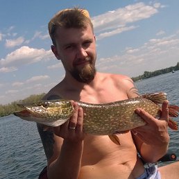 ���� �����, ����, 38 ��� - ��������� 3 ������ 2024