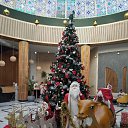 ���� �����, ������, 61 ��� - ��������� 27 ������� 2023