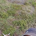 ���� �������, ������������, 54 ���� - ��������� 18 ������� 2025 � ������ ���� ����������