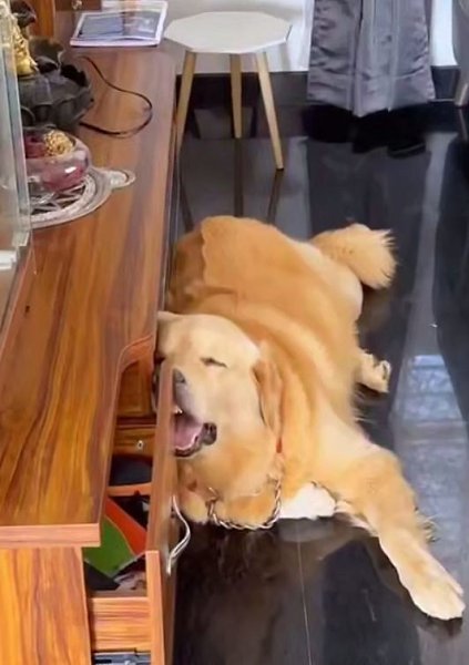         - 2