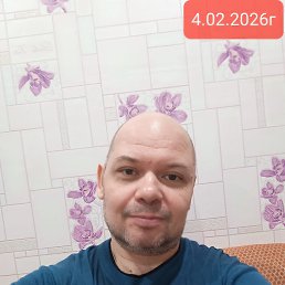 ������, 42 ����, �������-���������