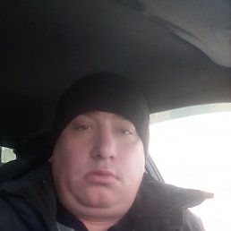 �����, 40 ���, ����������