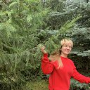 ���� ���� ��������, ����, 42 ���� - ��������� 28 ������� 2025