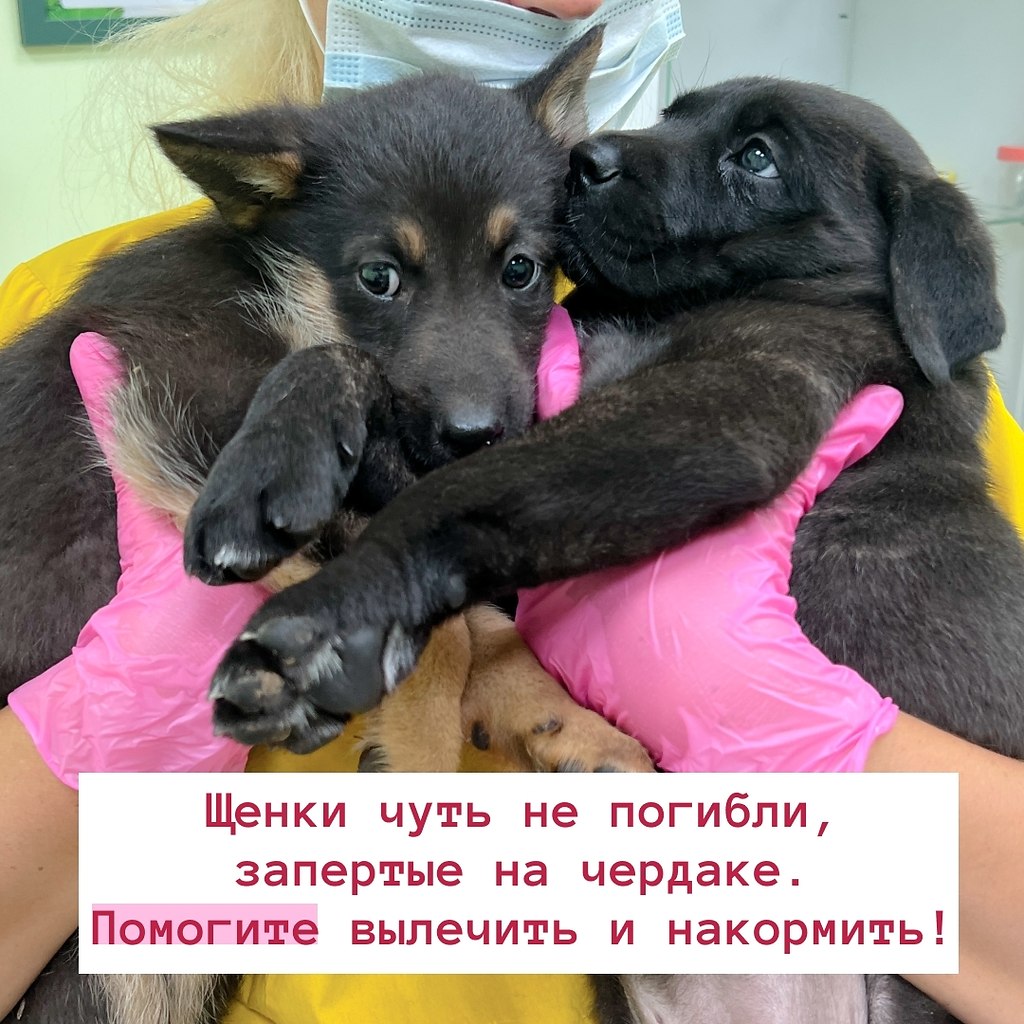    ,       ,  ,     ...