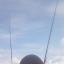 ���� ������, �������� - ��������� 7 ���� 2024 � ������ ���� ����������