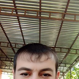 , 37, 