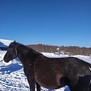 ���� ����, �����, 36 ��� - ��������� 18 ������� 2024 � ������ ���� ����������