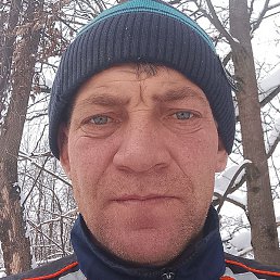 ����, ������, 40 ���