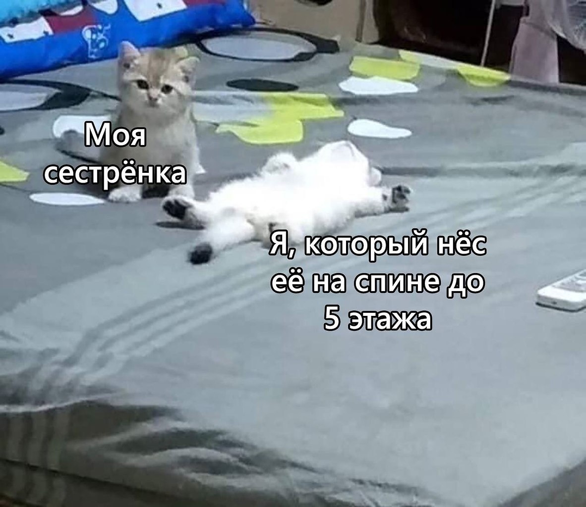    - 22  2024  11:35