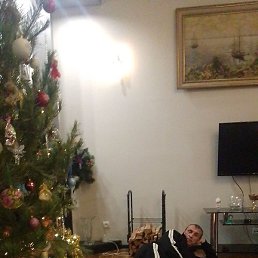 ��������, �����������, 46 ���