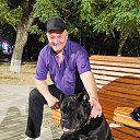 ���� ������, ����������, 50 ��� - ��������� 15 ������� 2026 � ������ ���� ����������