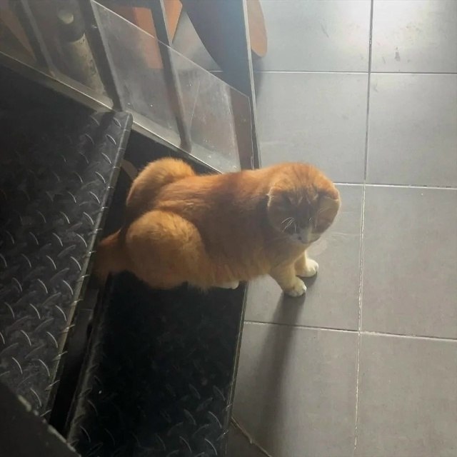 ����� - ����� - 3