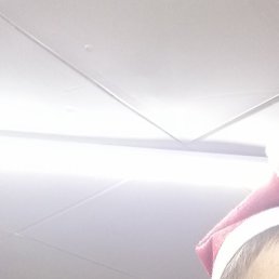 ��������, ������, 42 ����