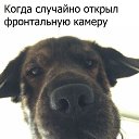 ���� �����, ������, 39 ��� - ��������� 16 ��� 2025 � ������ ���� ����������