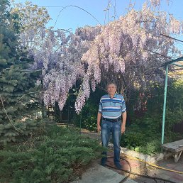 ������, 60 ���, ���������