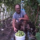 ���� �������, ������������, 61 ��� - ��������� 10 ����� 2026