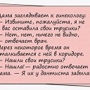 ���� Slavian Slav, �����������, 61 ��� - ��������� 24 ���� 2025 � ������ ������ ��������
