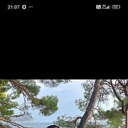 ����, 50 ���, ������ ��������