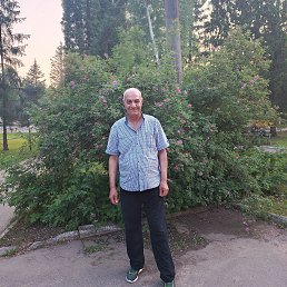 , 61, 