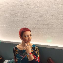 ���� �������, ���������, 49 ��� - ��������� 15 ������ 2026