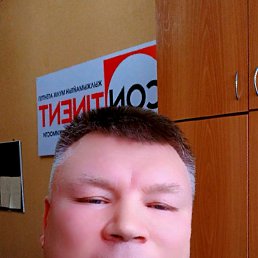 ����, 41 ���, ����������