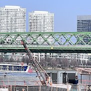 ������, 41 ���, ����������