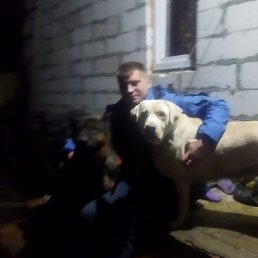 �������, �����, 35 ���