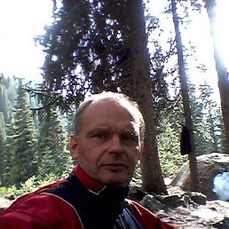 , 49, 