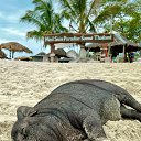 ���� Vera Sun, �����������, 69 ��� - ��������� 28 ����� 2026