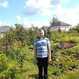 �����, �������, 37 ���