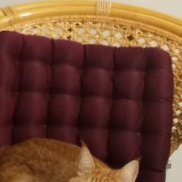 ���� �������, ����, 45 ��� - ��������� 4 ������ 2025