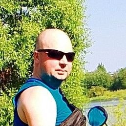 ����, ���������, 39 ���