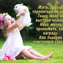 ���� �������, ���������� - ��������� 14 ���� 2026 � ������ ������ ��������