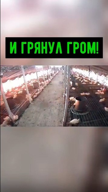 � ������ ����!