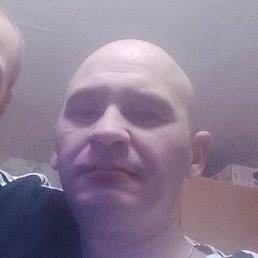 ������, ������������, 42 ����