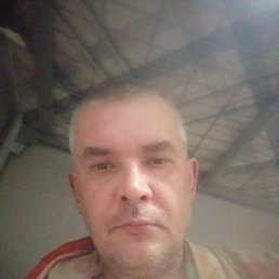 ������, 39 ���, ����