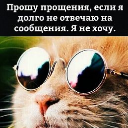 ���� ��������, ������ - ��������� 3 ������� 2024