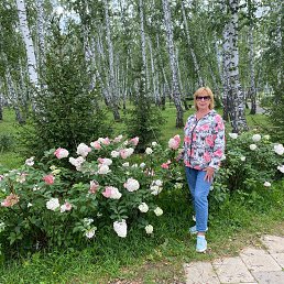 ������, 2024���