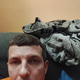 , 43, 