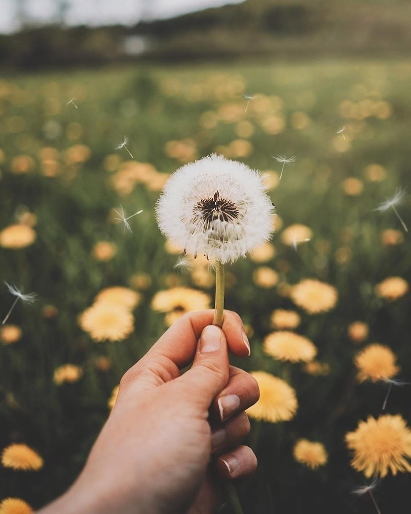 ����� �� ������� ��������� ������� � �������� �������� ������ ���������� ����������� ����-�� ���-�� ...