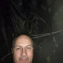 ��������, 37 ���, ������