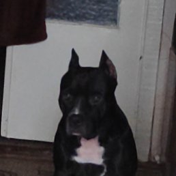 ������, ������, 42 ����