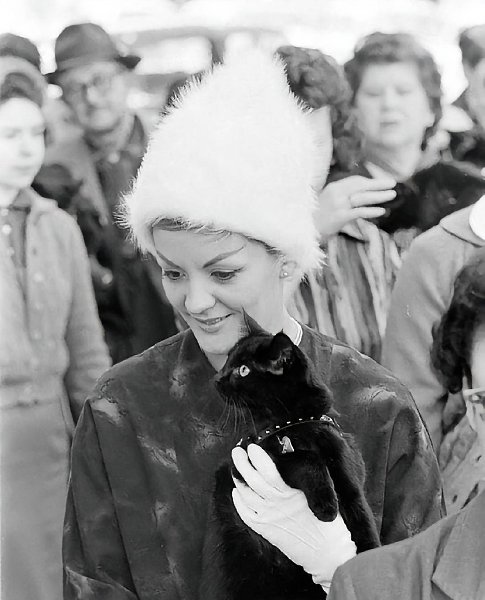     , 1961  - 2
