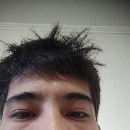 , 21, 